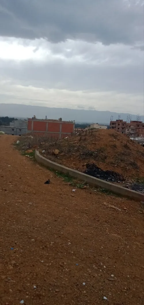 Vente Terrain Tipaza Kolea