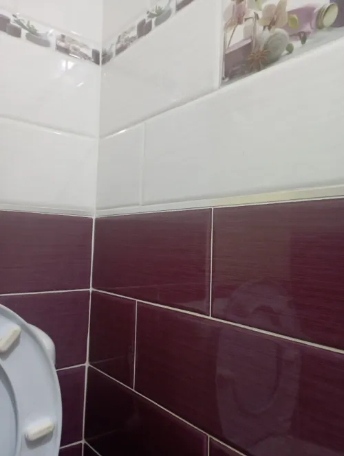 Vente Appartement F3 Guelma Belkheir