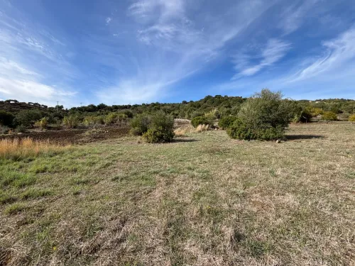 Vente Terrain Tizi Ouzou Boudjima