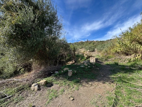 Vente Terrain Tizi Ouzou Boudjima
