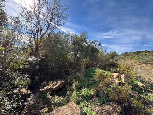 Vente Terrain Tizi Ouzou Boudjima