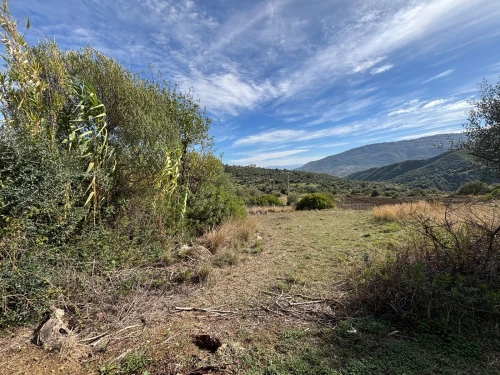 Vente Terrain Tizi Ouzou Boudjima