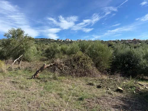Vente Terrain Tizi Ouzou Boudjima