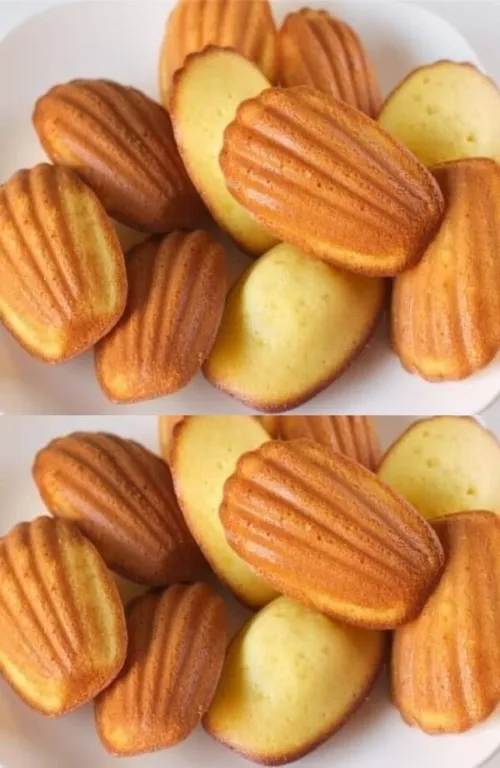 Dresseuse Biscuit