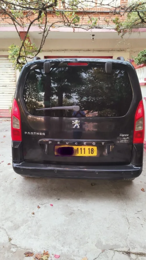 Peugeot Partner 2011 Tepee
