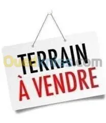 Vente Terrain Oran Es senia