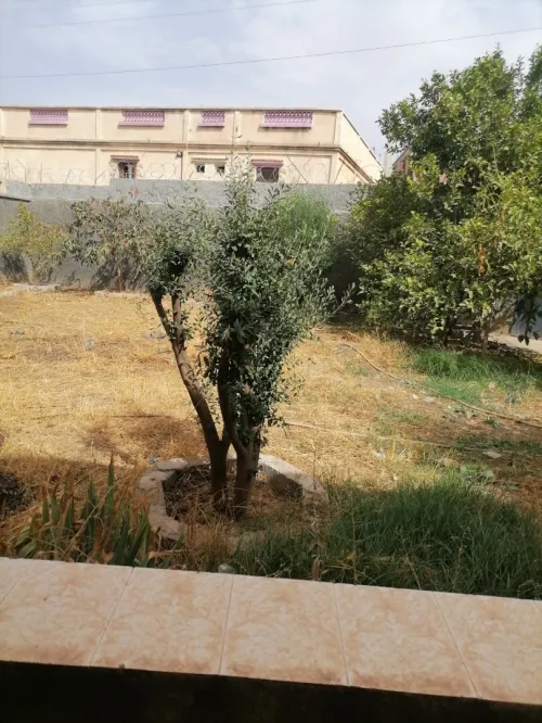 Vente Villa Mila Ferdjioua