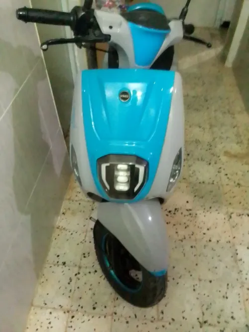 Vms Estat x 2021