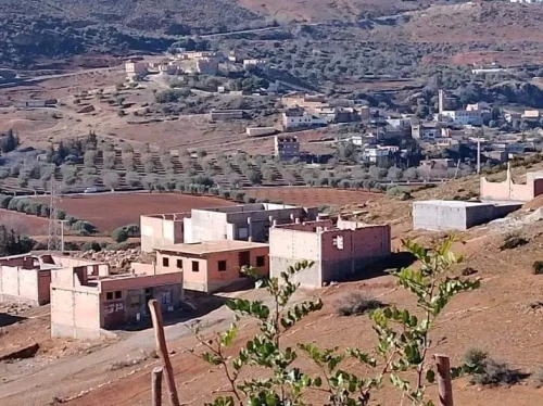 Vente Terrain Tlemcen Beni mester