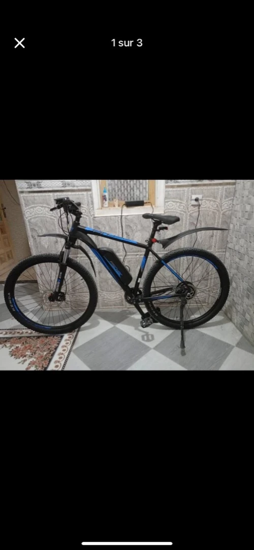 Velo électrique 