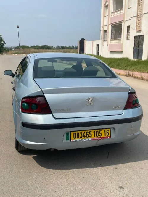 Peugeot 407 2005 407
