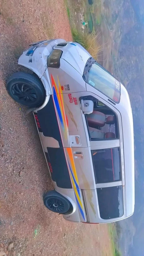 DFM Mini bus 2011 