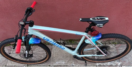 Vélo VTT XCO Carbon Haute gamme // Taille : L 29" // État : 9/10
