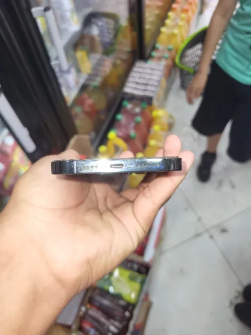 Appel 13 pro max