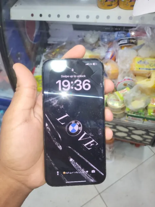 Appel 13 pro max