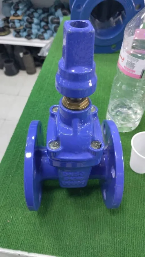 Pumpe immergée 