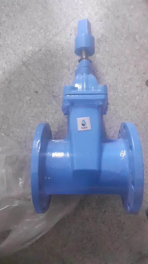 Pumpe immergée 
