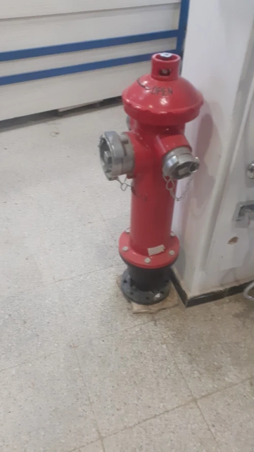 Pumpe immergée 