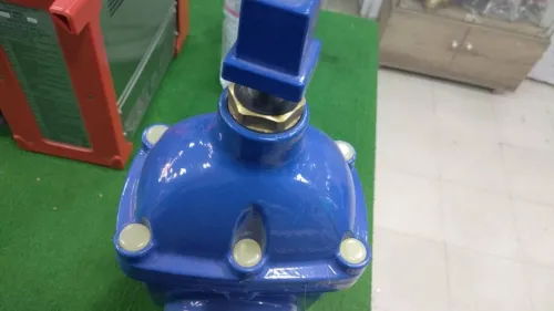 Pumpe immergée 