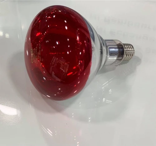  Lampe infrarouge 250W sur pied roulant Star Care