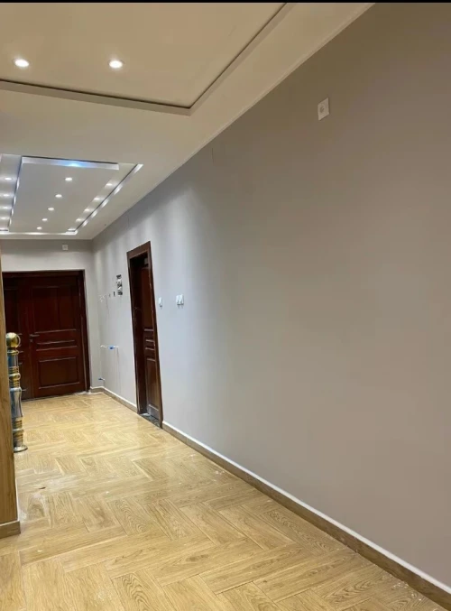 Entreprise peinture décoration professionnel peintre alger