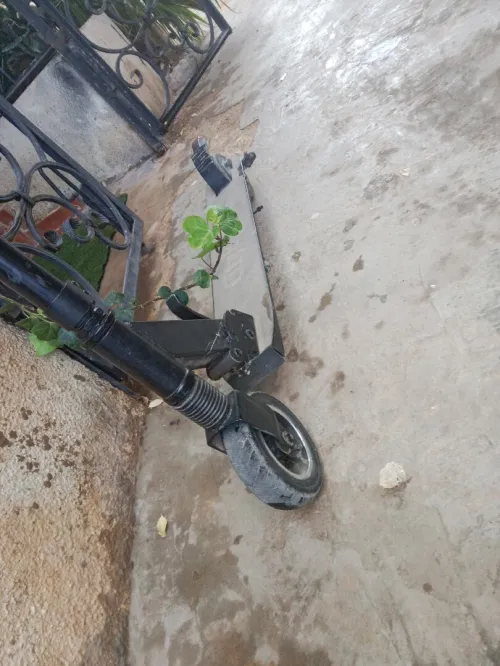 Trottinette 