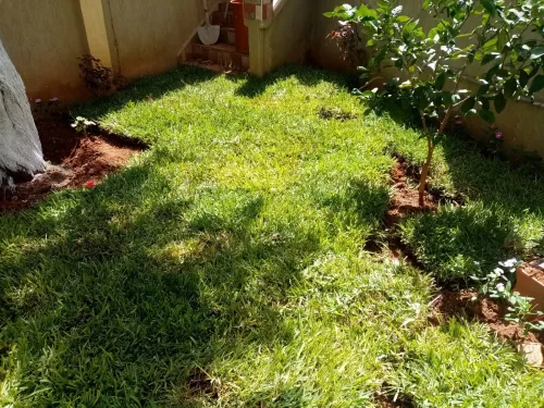  espace vert bien conçu et bien entretenu est générateur