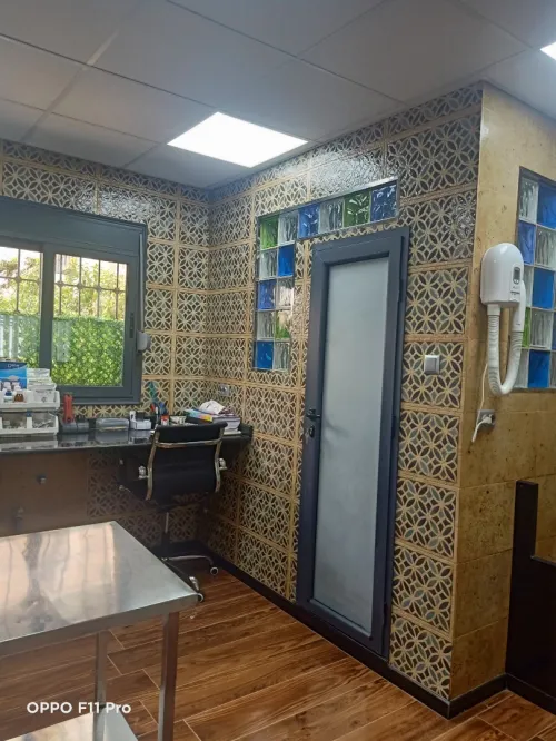 Clinique vétérinaire clyvet à birtouta  المصحة البيطرية أمم أمثالكم