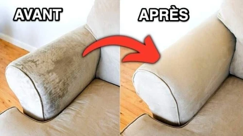 Aspirateur nettoyeur de taches(shampouineuse)