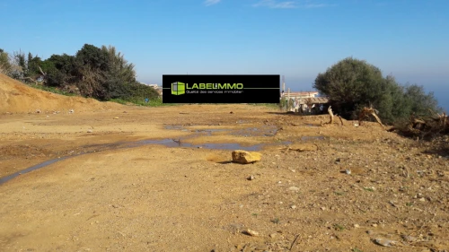 Vente Terrain Alger Rais hamidou