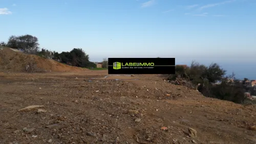 Vente Terrain Alger Rais hamidou