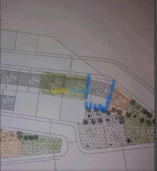 Vente Terrain Skikda Hamadi krouma