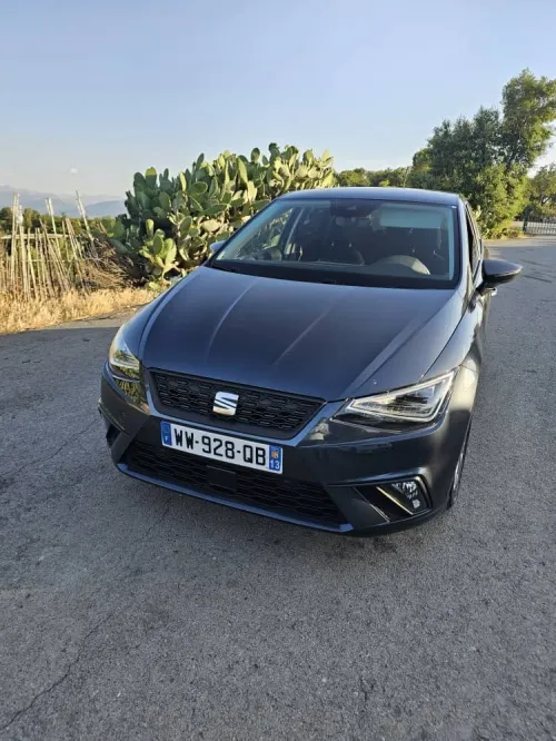 Seat Ibiza 2023 Style
