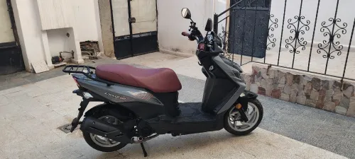 Sym Crox 2024