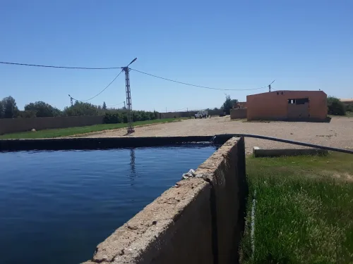 Vente Terrain M'Sila Chellal