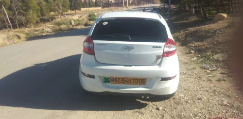 Chery Fulwin 2013 A13A