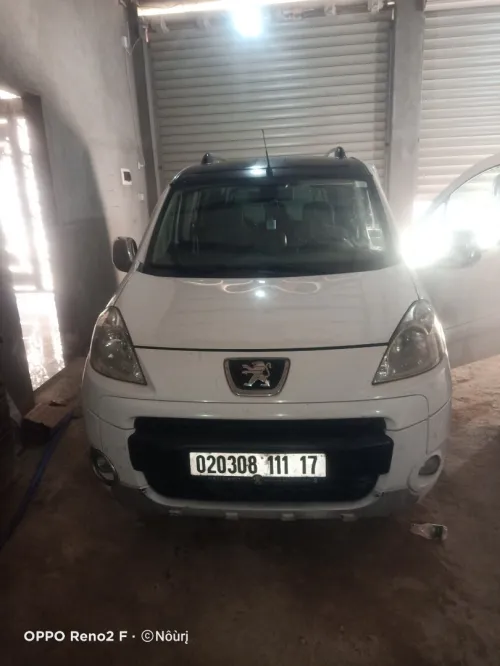 Peugeot Partner 2011 Tepee