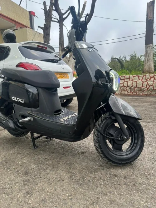 Vms Cuxi 1 2022
