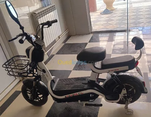 Scooter (Scoozer) 500w 48v Scooter Elictrique 2025