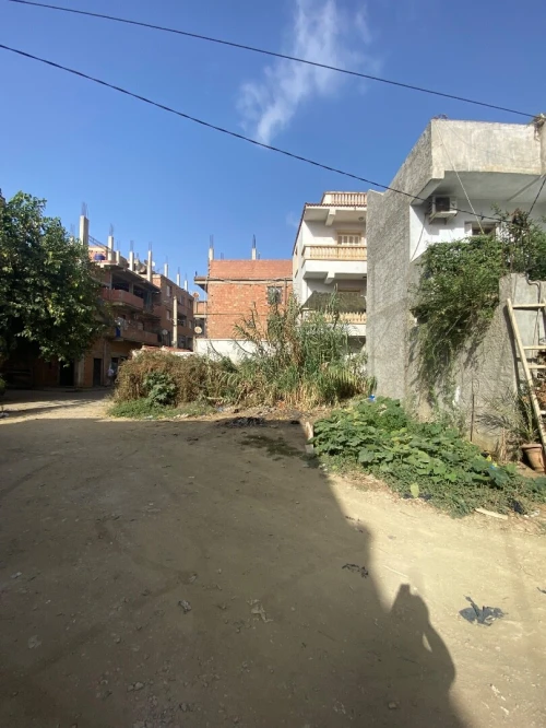 Vente Terrain Alger Douera