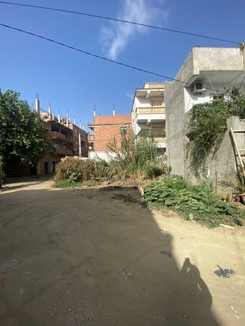 Vente Terrain Alger Douera