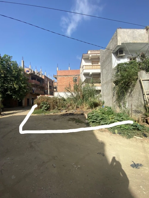 Vente Terrain Alger Douera