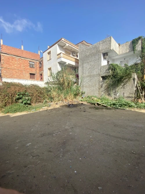 Vente Terrain Alger Douera