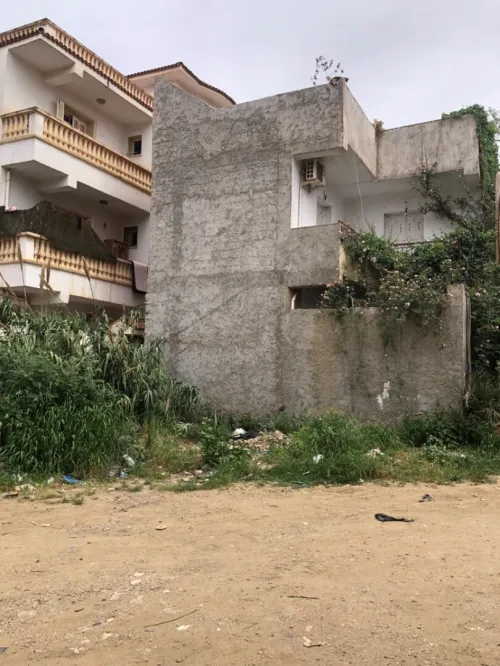 Vente Terrain Alger Douera