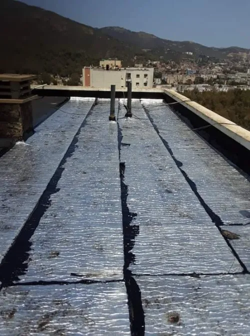 étanchéité charpentier alger ®