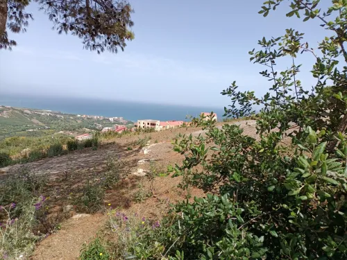 Vente Terrain Tizi Ouzou Azeffoun