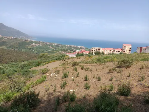 Vente Terrain Tizi Ouzou Azeffoun