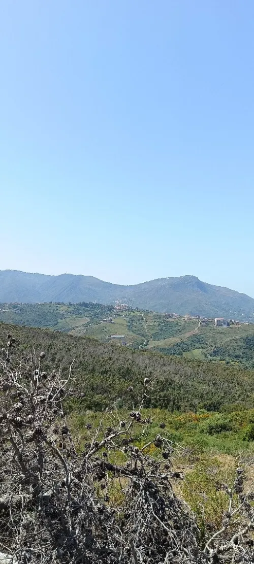 Vente Terrain Tizi Ouzou Azeffoun