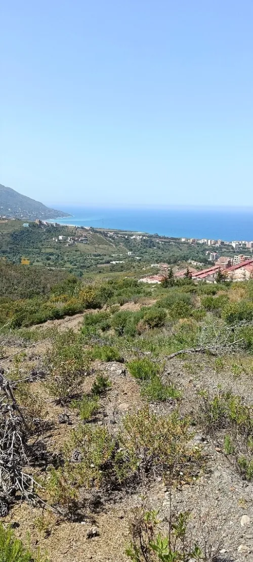 Vente Terrain Tizi Ouzou Azeffoun