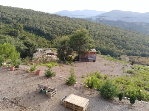 Vente Terrain Tizi Ouzou Azeffoun